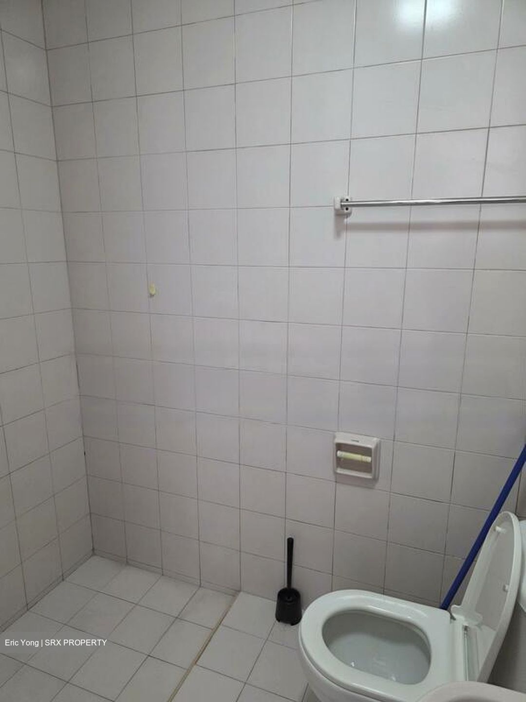 Seletar Hills Estate (D28), Semi-Detached #483998911